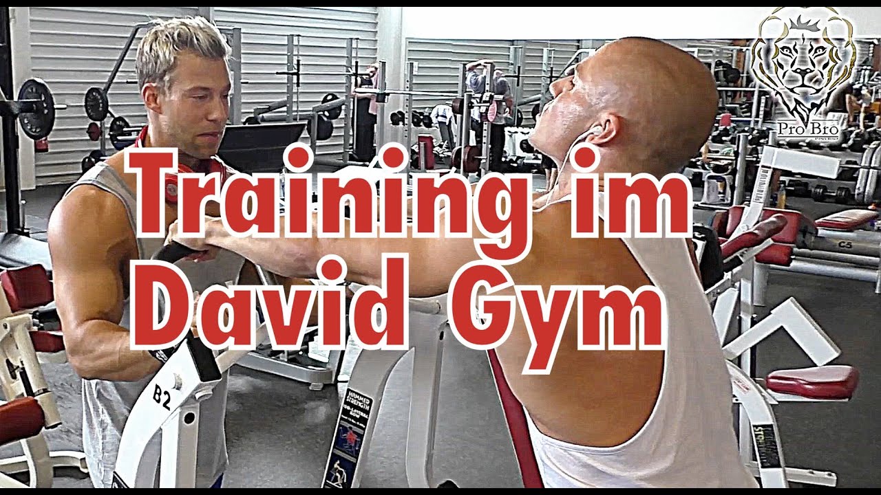 Training im David Gym, Zürich