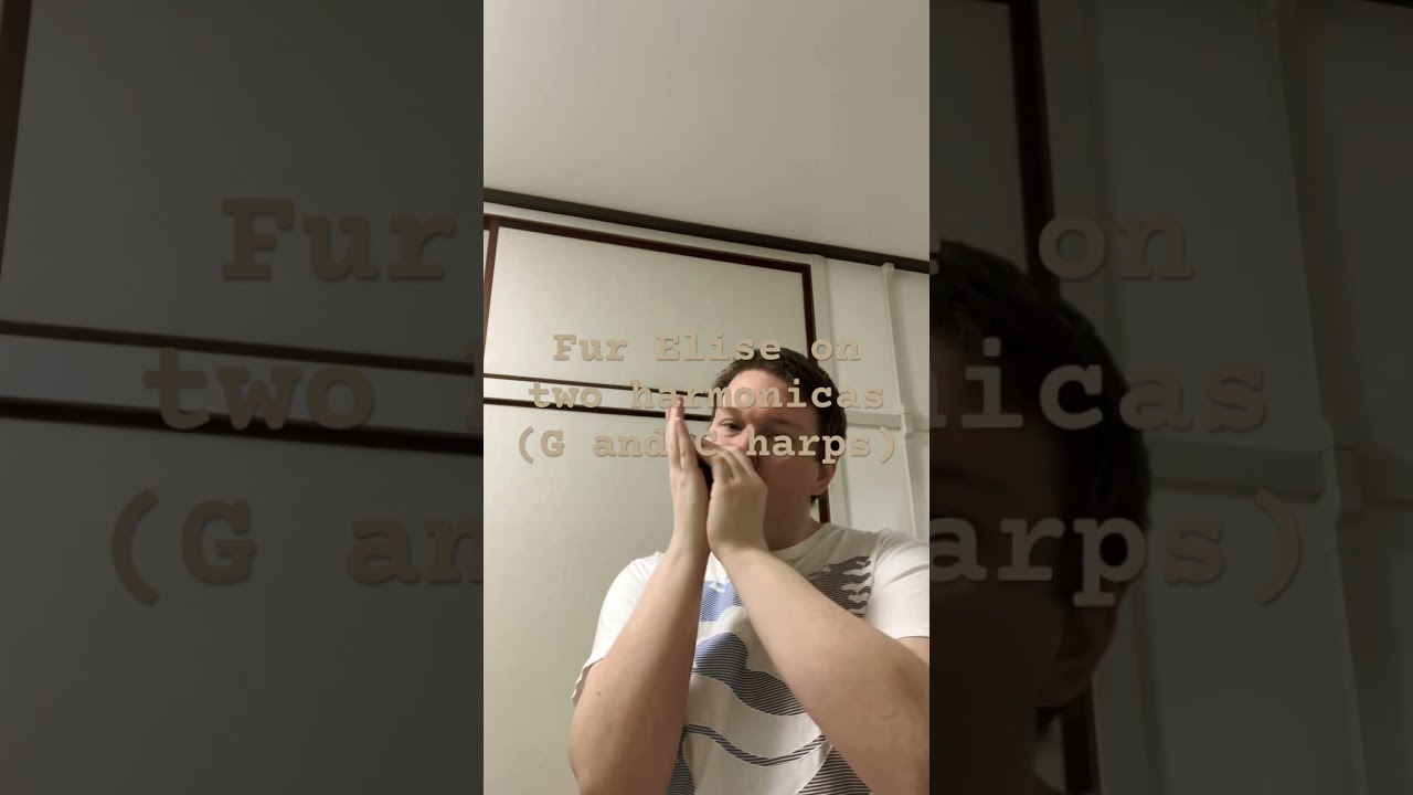 Beethoven Fur Elise played on 2 harmonicas 