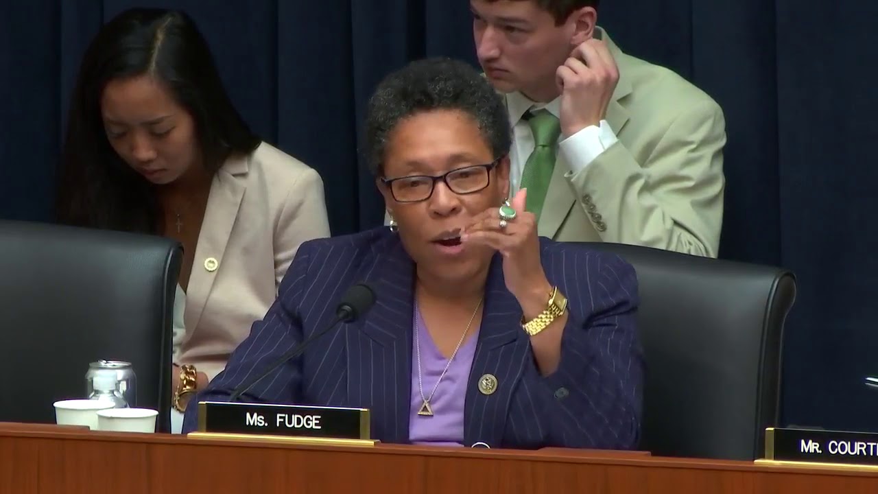 Rep. Fudge Recognizes Brown v. Board of Ed 64th Anniversary at Privacy Hearing