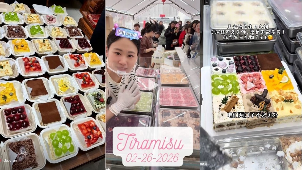 Tiramisu Cake Livestream Sale (100 trays)|Zhao Zhao #02262026 #tiramisu #cake #dessert