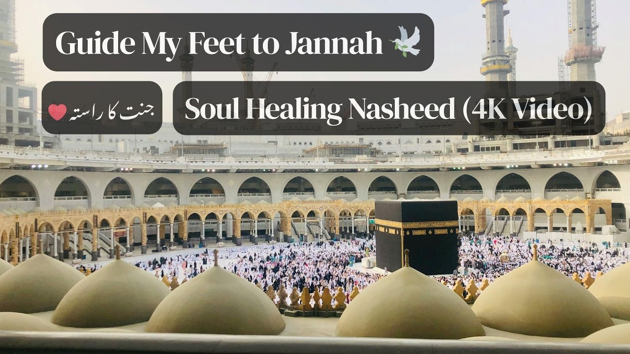 The Most Beautiful Path... ❤️ | Soul Healing Nasheed (4K Video)