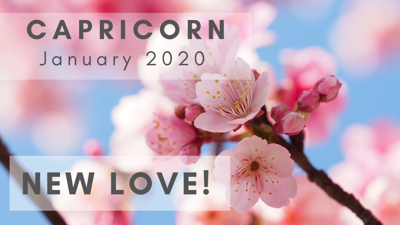 CAPRICORN: New Love! January 2020
