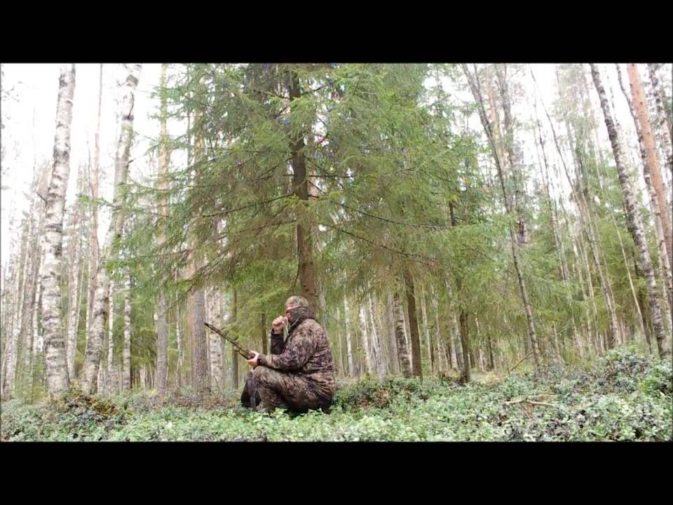 Varisjahtia (vinkkejä pillin käyttöön)