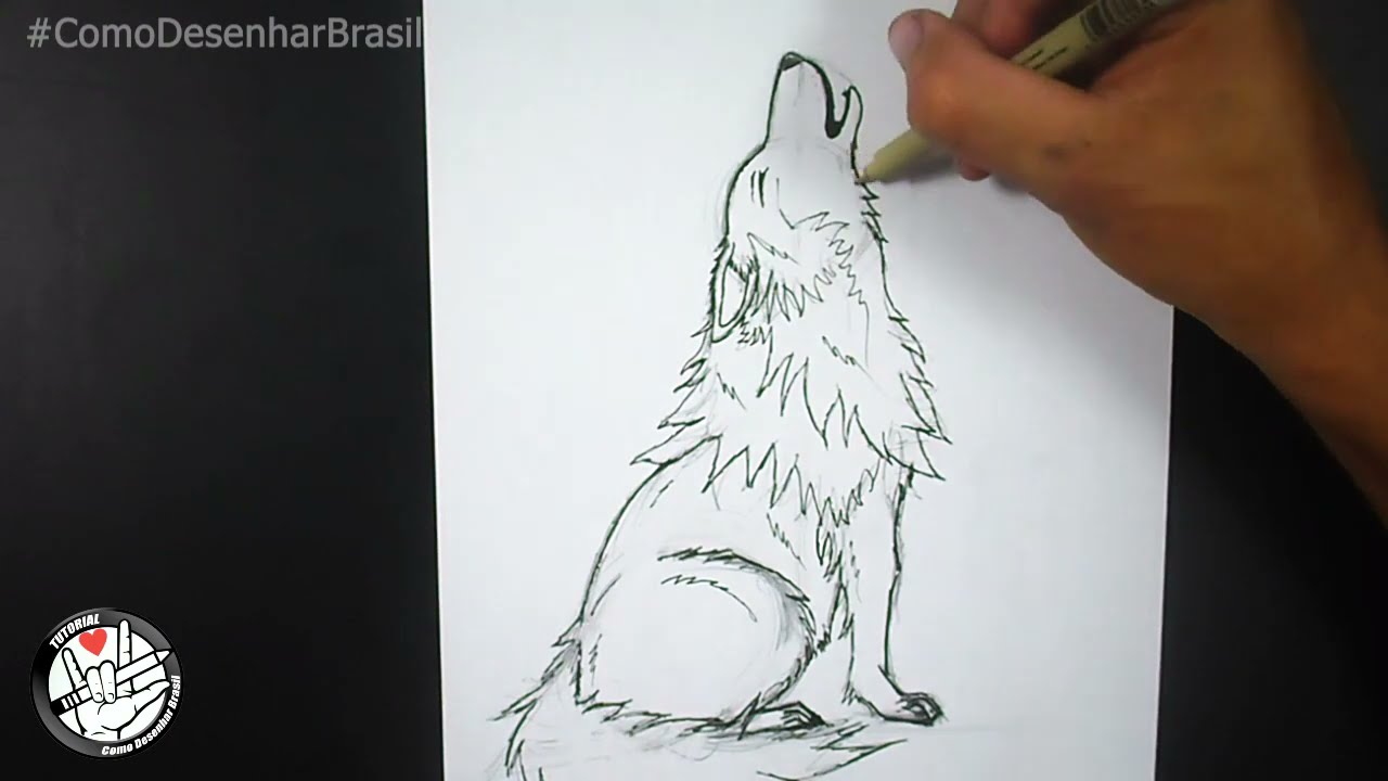 Comment dessiner un loup
