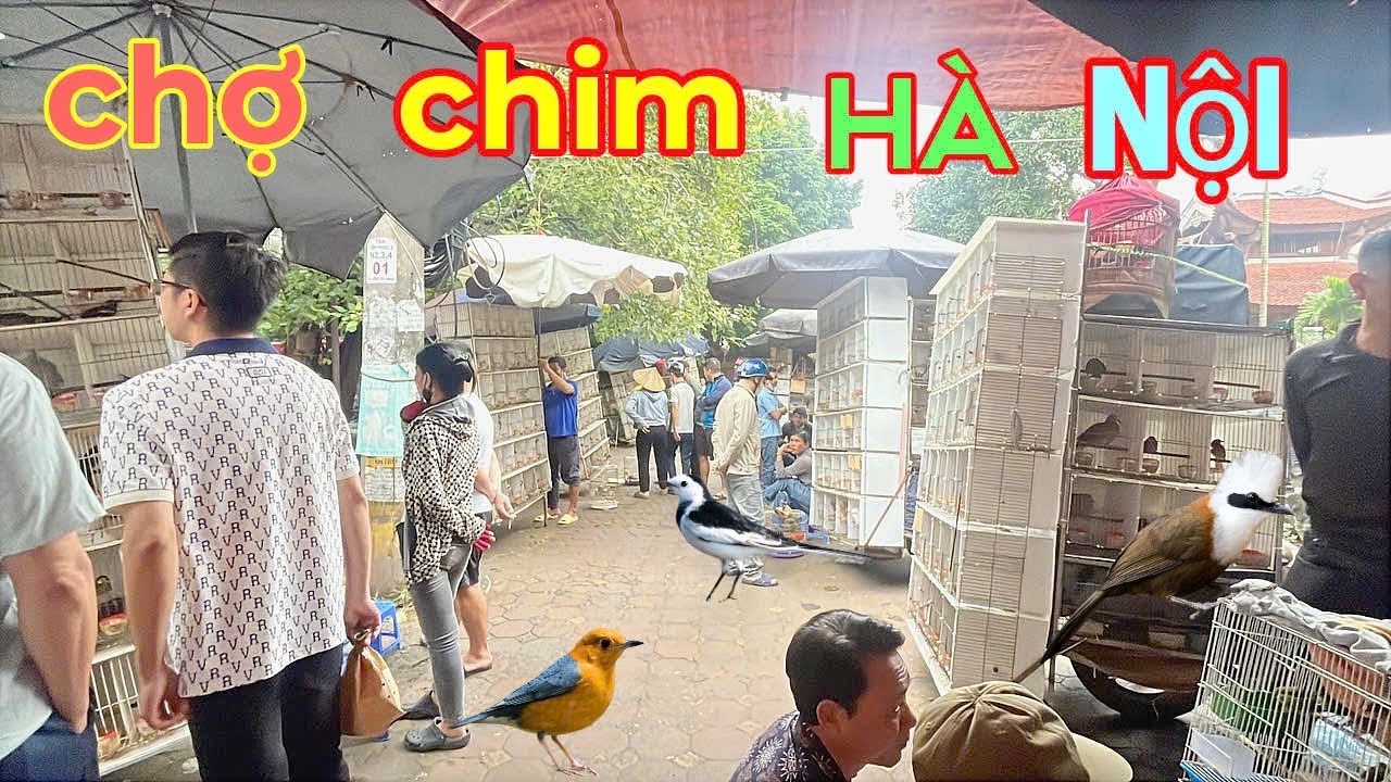 Khám phá phiên chợ Yên Phúc lớn nhất tại Hà Nội 