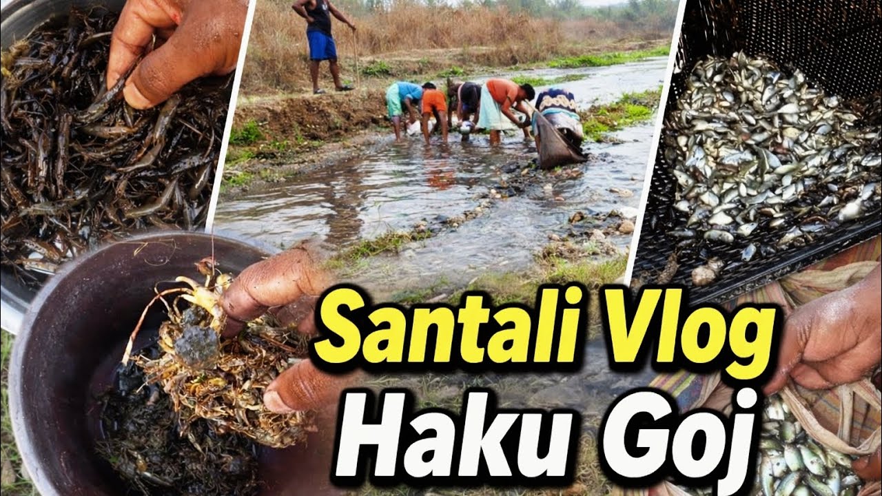 Haku goj santali new vlog video 