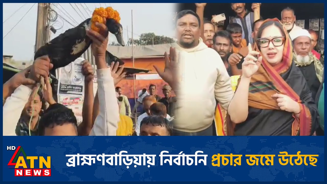 ব্রাহ্মণবাড়িয়ায় নির্বাচনি প্রচার জমে উঠেছে | Election | Brahmanbaria | ATN News