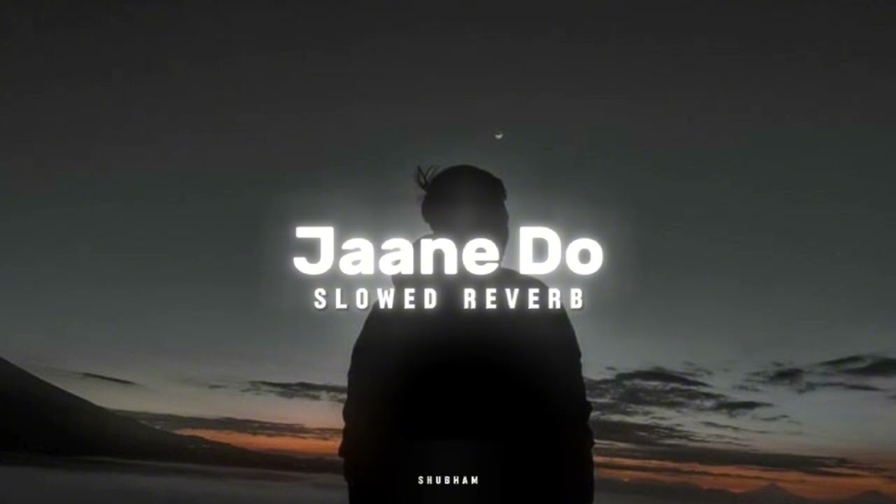 Mc Insane - Jaane Do [ slowed reverb ] song The Heal Album | Shubham_