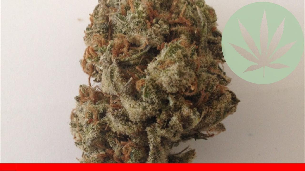 Crystal Coma - All About This Strain