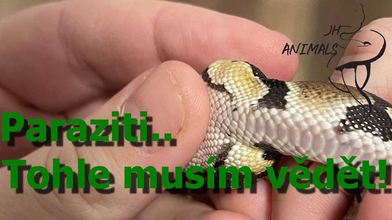 42 Díl JH Animals, Paraziti! Neber to na lehkou váhu a řeš to správně.