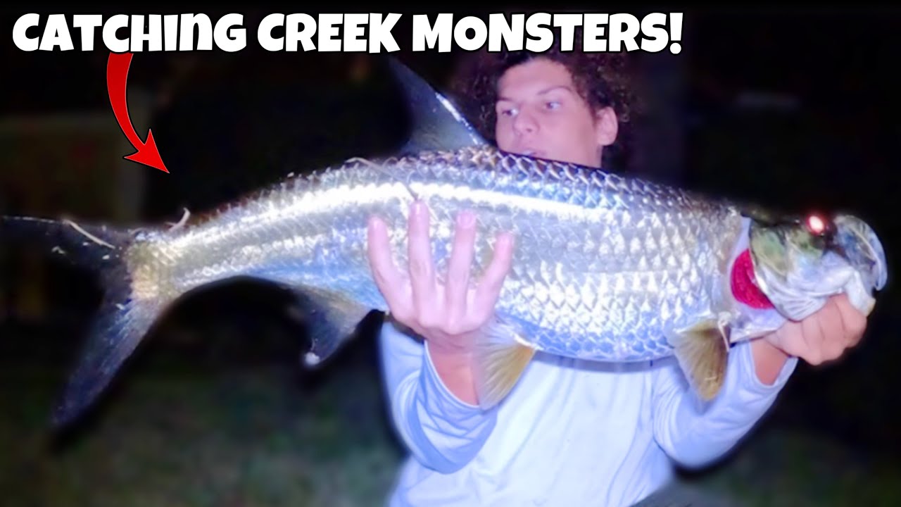 I Caught BACKWATER TARPON In TINY Creek!