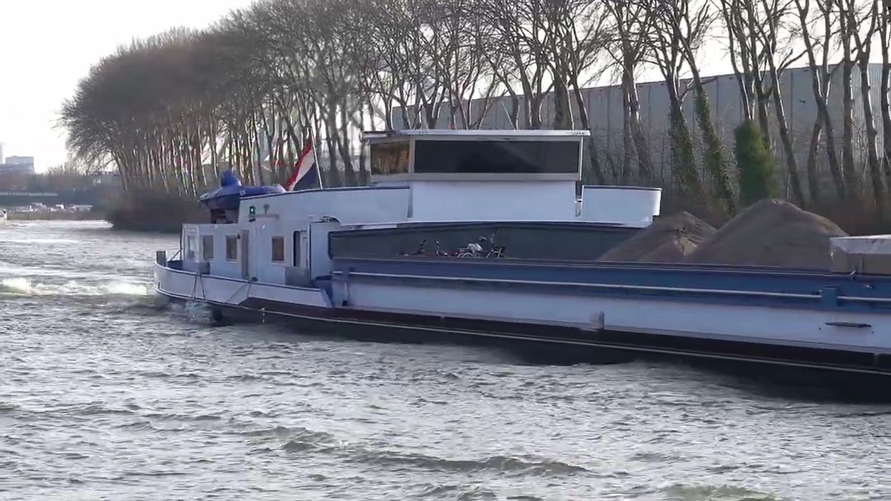 ⚓️'MAYA' vrachtschip uit Maasbracht (NL), 02327161, gespot 22 01 2026