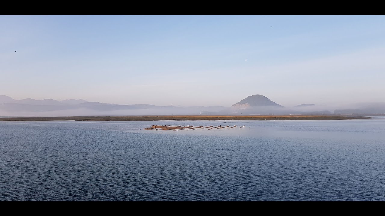 Biodiversidad el Parque Natural de las Marismas de Santoña, Victoria y Joyel
