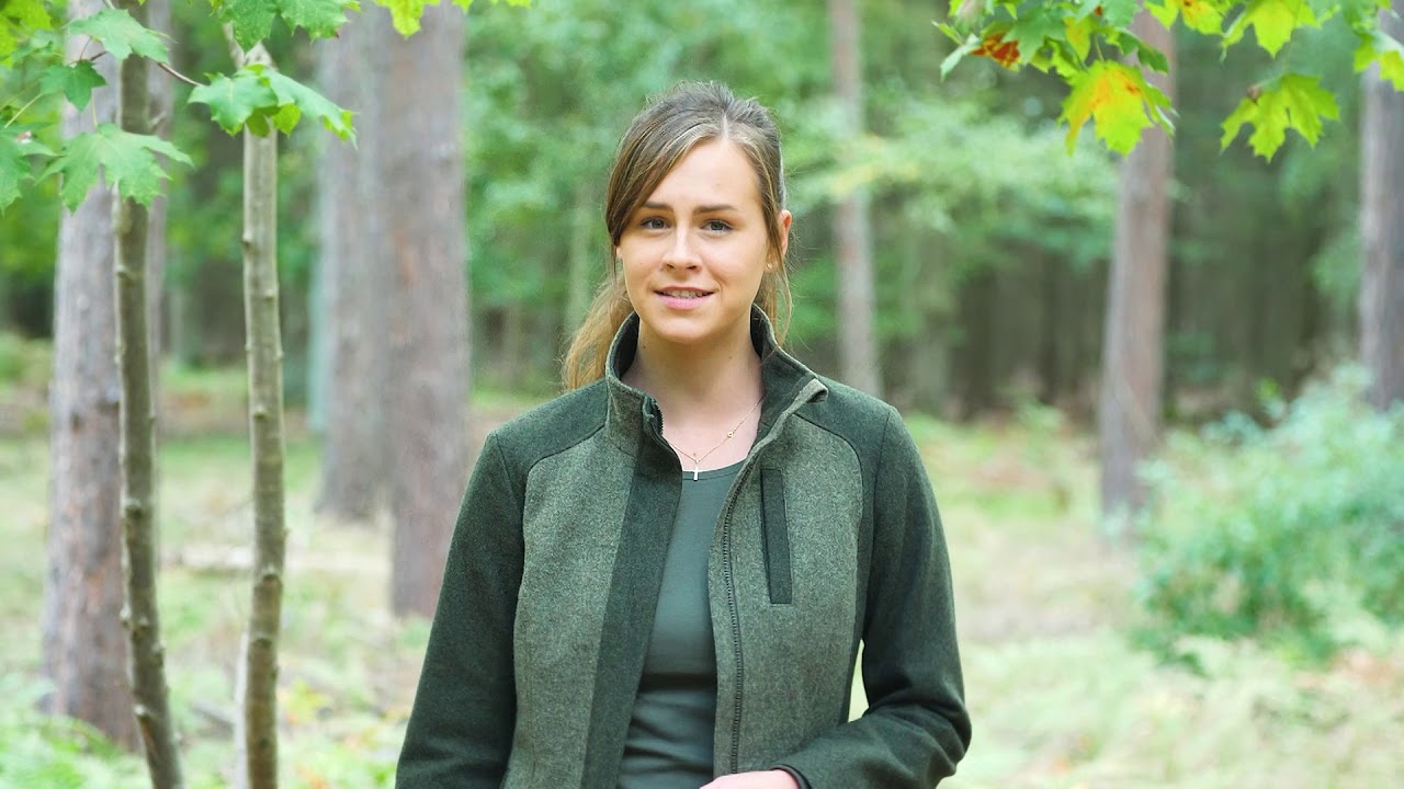 #waldbaumitwaidblick: Wie steht's um den Wald in Deutschland, Frau Brauwers?