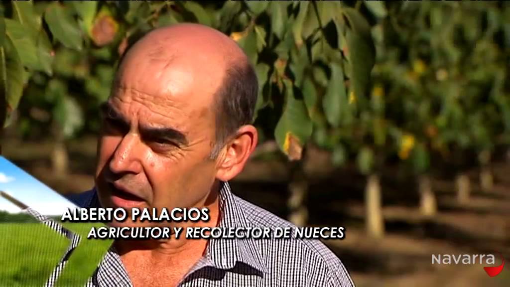 AGRONAVARRA – 29 DE OCTUBRE DE 2014