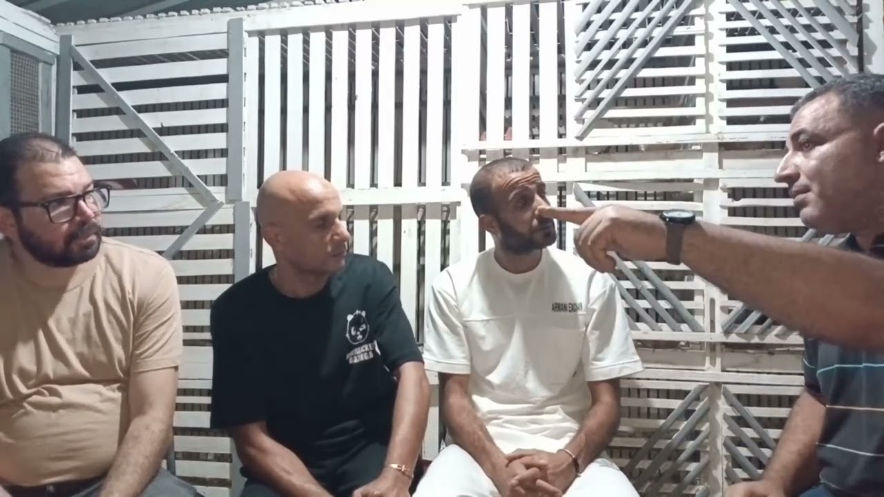 الحرفنه مع الحمام الغزار_اختيار الحمامه المناسبه للفرخ #محمد_العربي_ محمد_ المسلماني_ محمود الخطيب