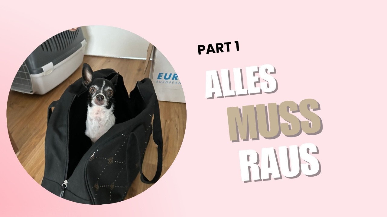 68 Tage bis zur Auswanderung – Ausmist-Challenge | Tag 1/7