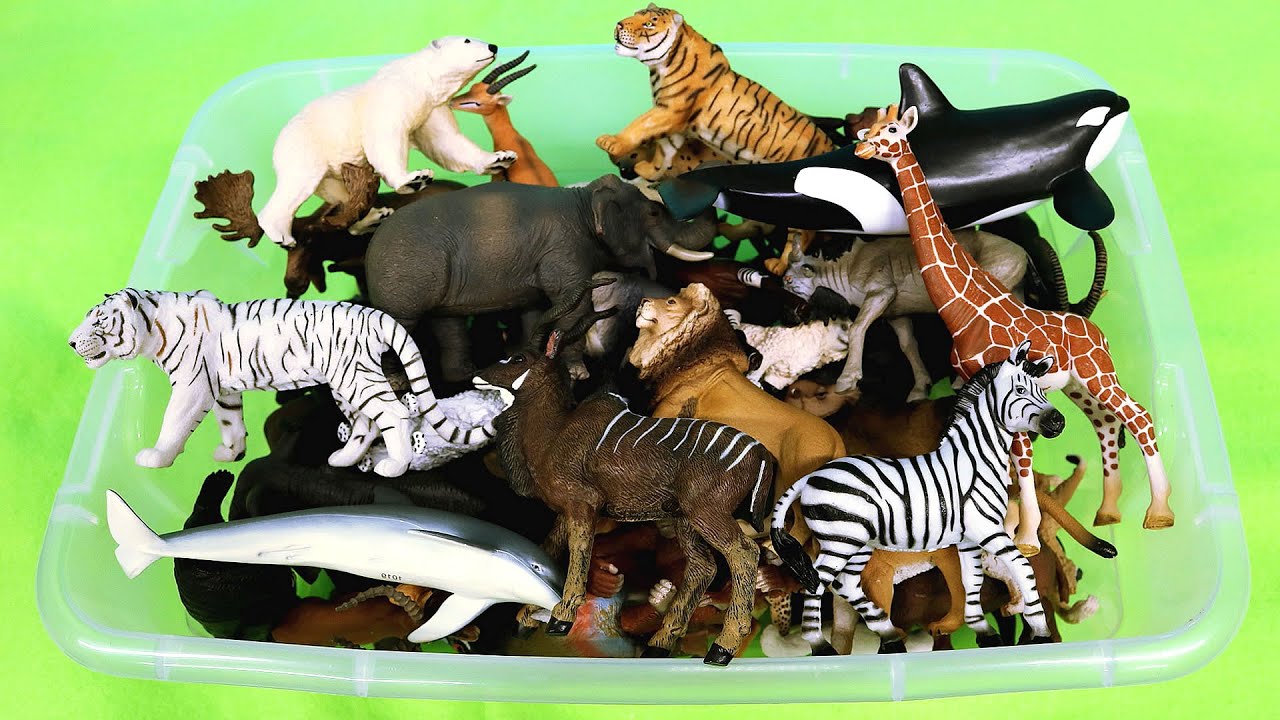 Mammals, Reptiles, Birds Animal Figurines - Learn Animal Names