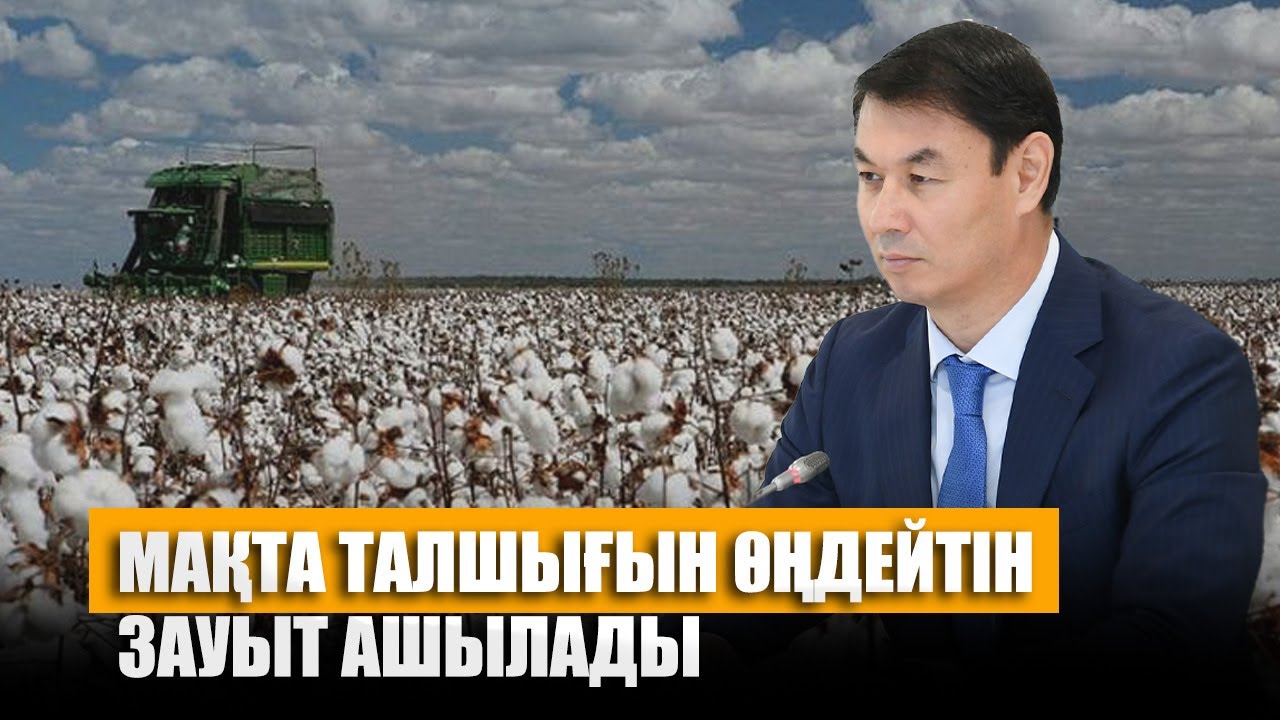 Мақта талшығын өңдейтін зауыт ашылады