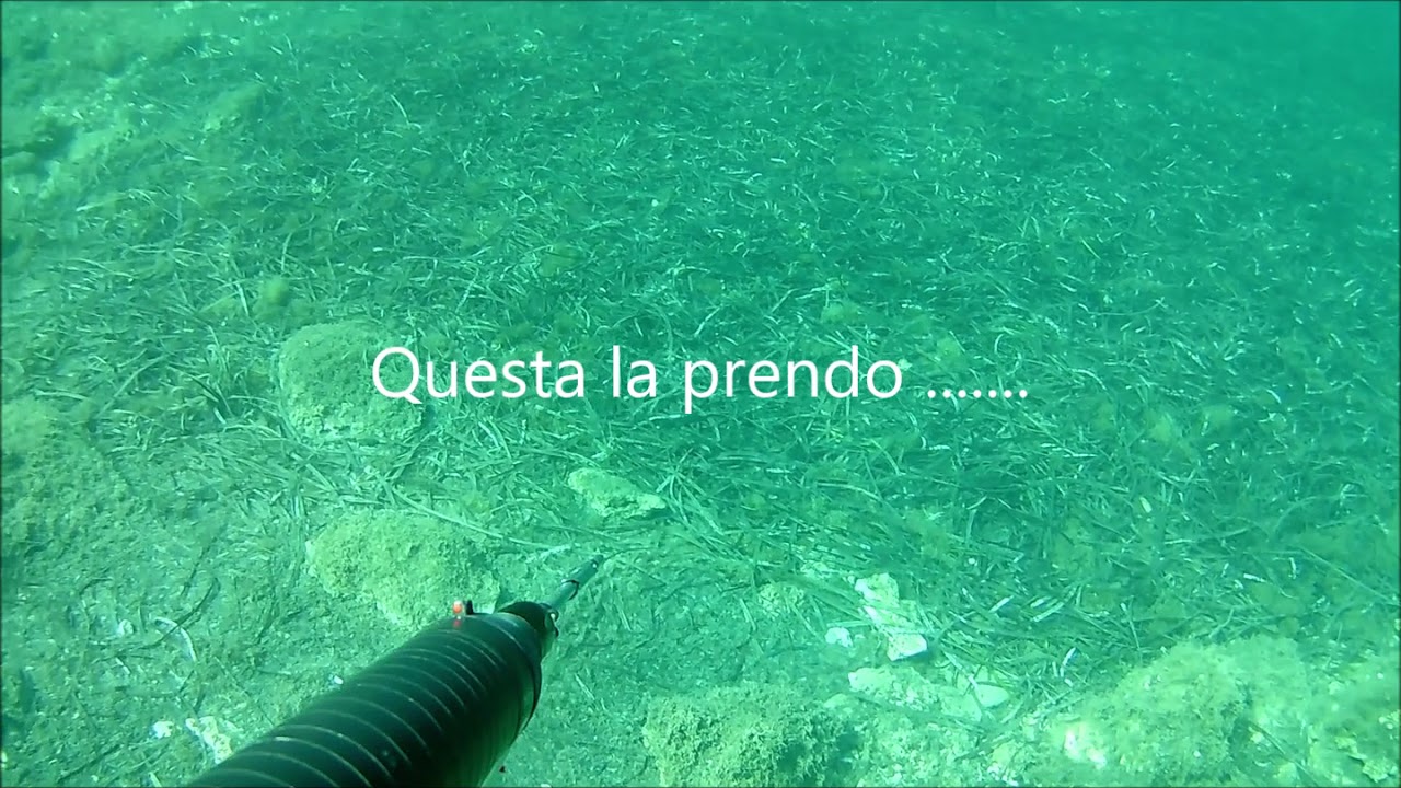 Prova fucile oleopneumatico assemblato da 115cm