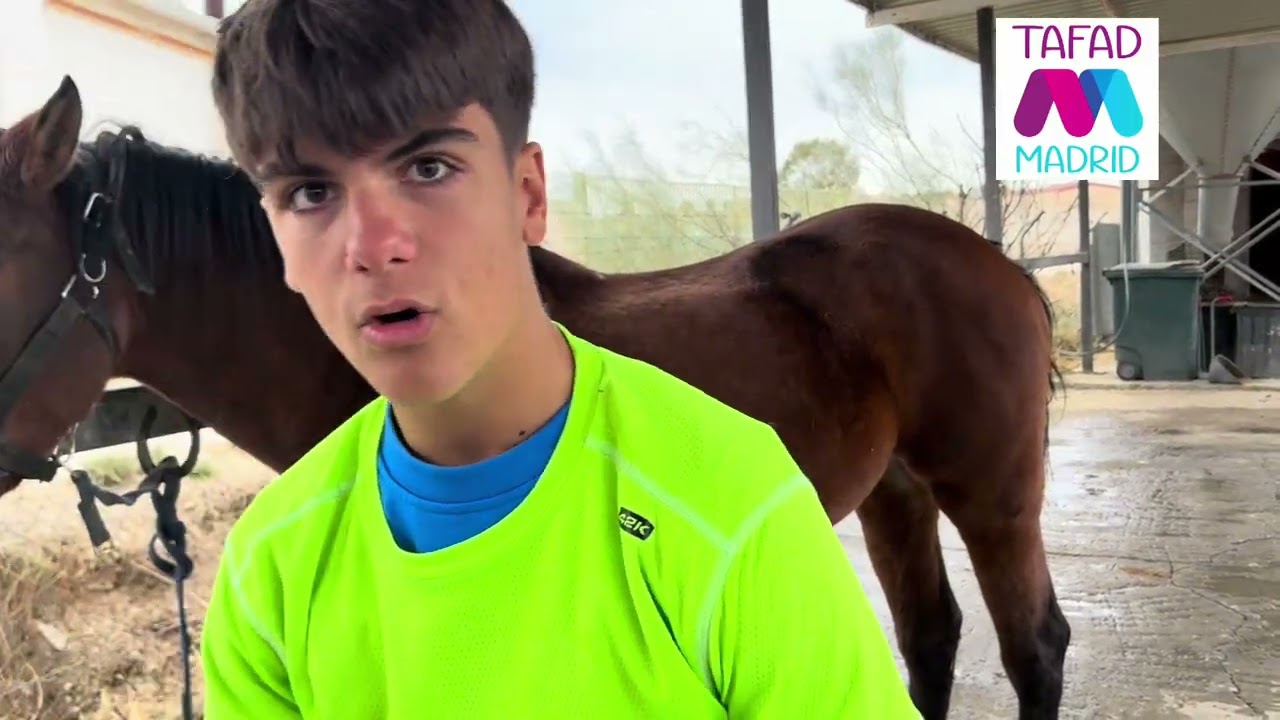 Cuidados Básicos del caballos. 🐴 
