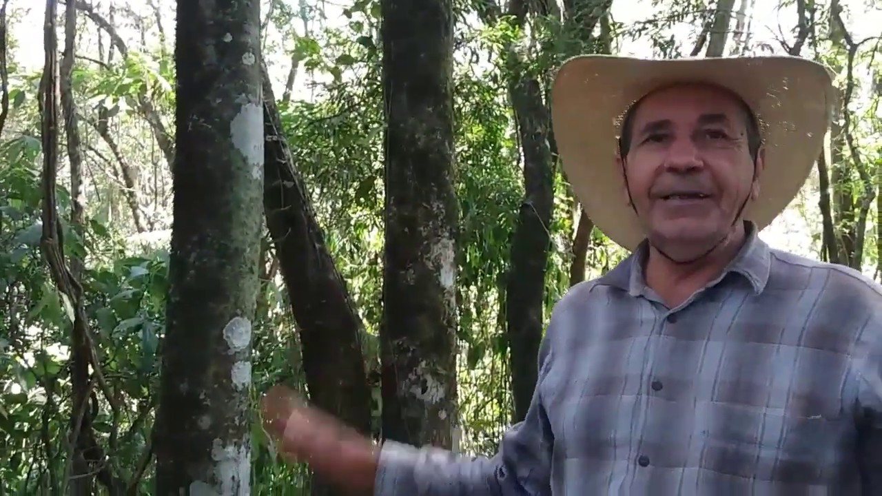 DORES NA COLUNA UM PODEROSO REMÉDIO NATURAL CURA EM 3 DIAS