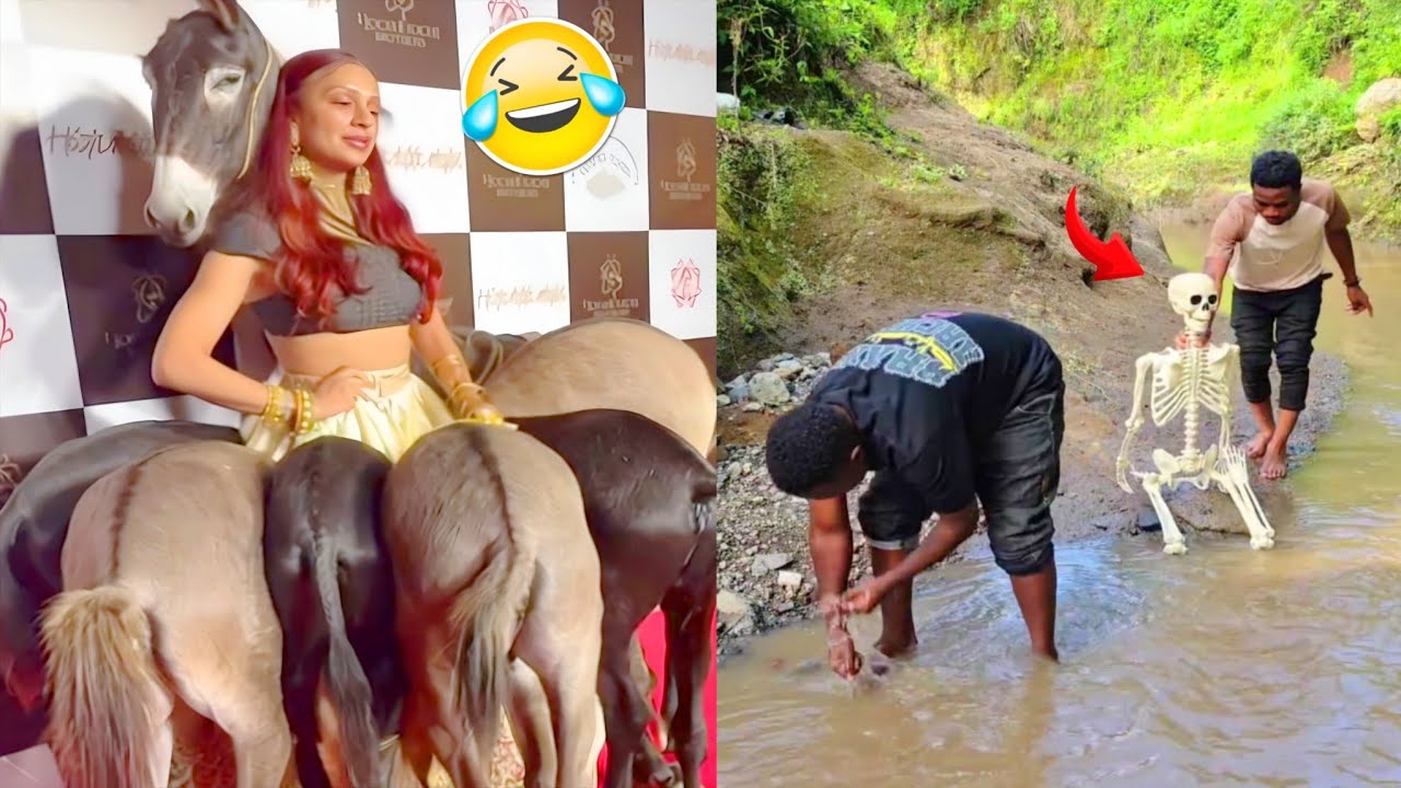 Best Fails of the Year 😂 Try Not To Laugh Challenge 😄 Funny memes part 54