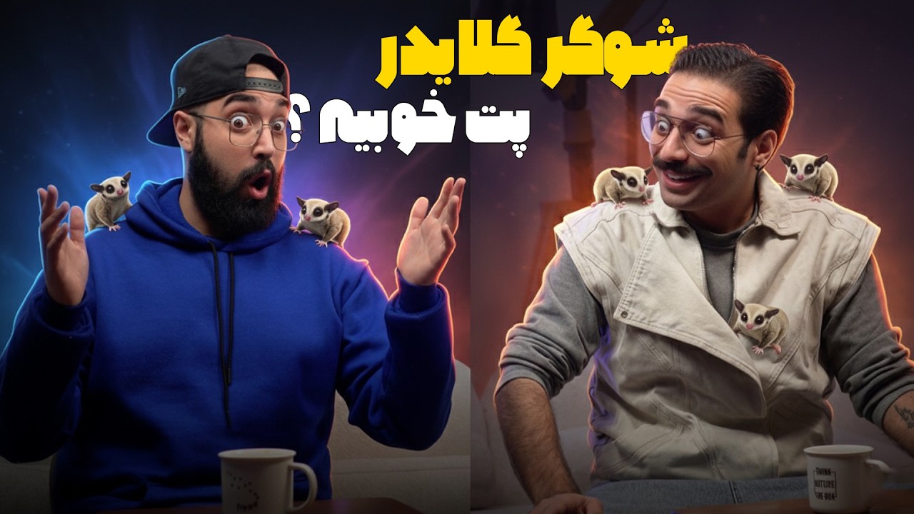 قبل از خرید شوگر گلایدر این ویدیو رو ببین (خیلی مهم!)