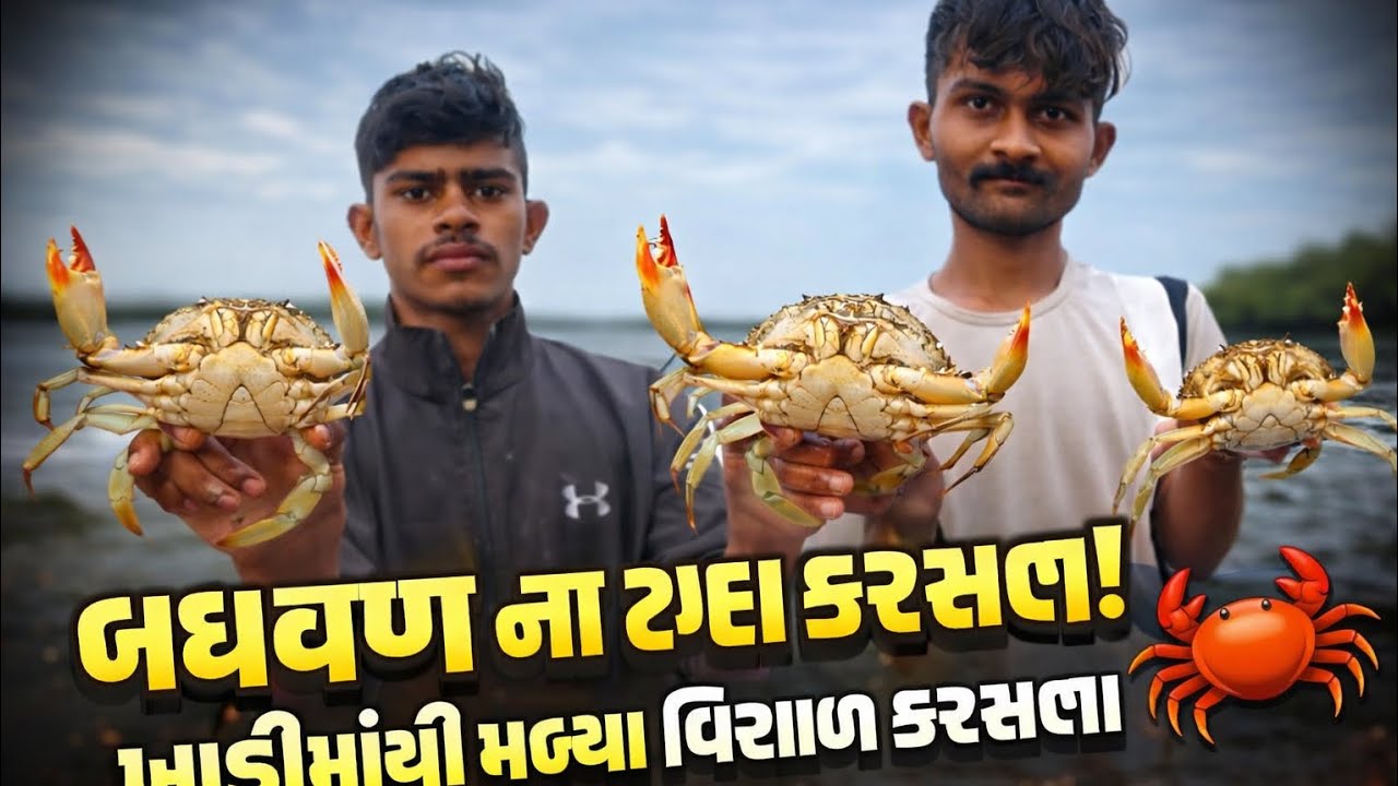 બધવણ ના કરસલા પકડીયા 🦀