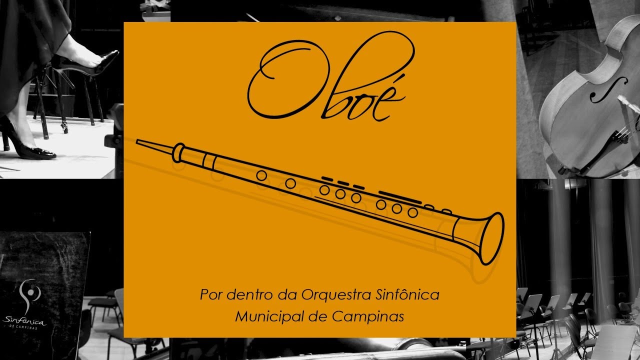 Rafael Picolotto de Lima - Compositor
