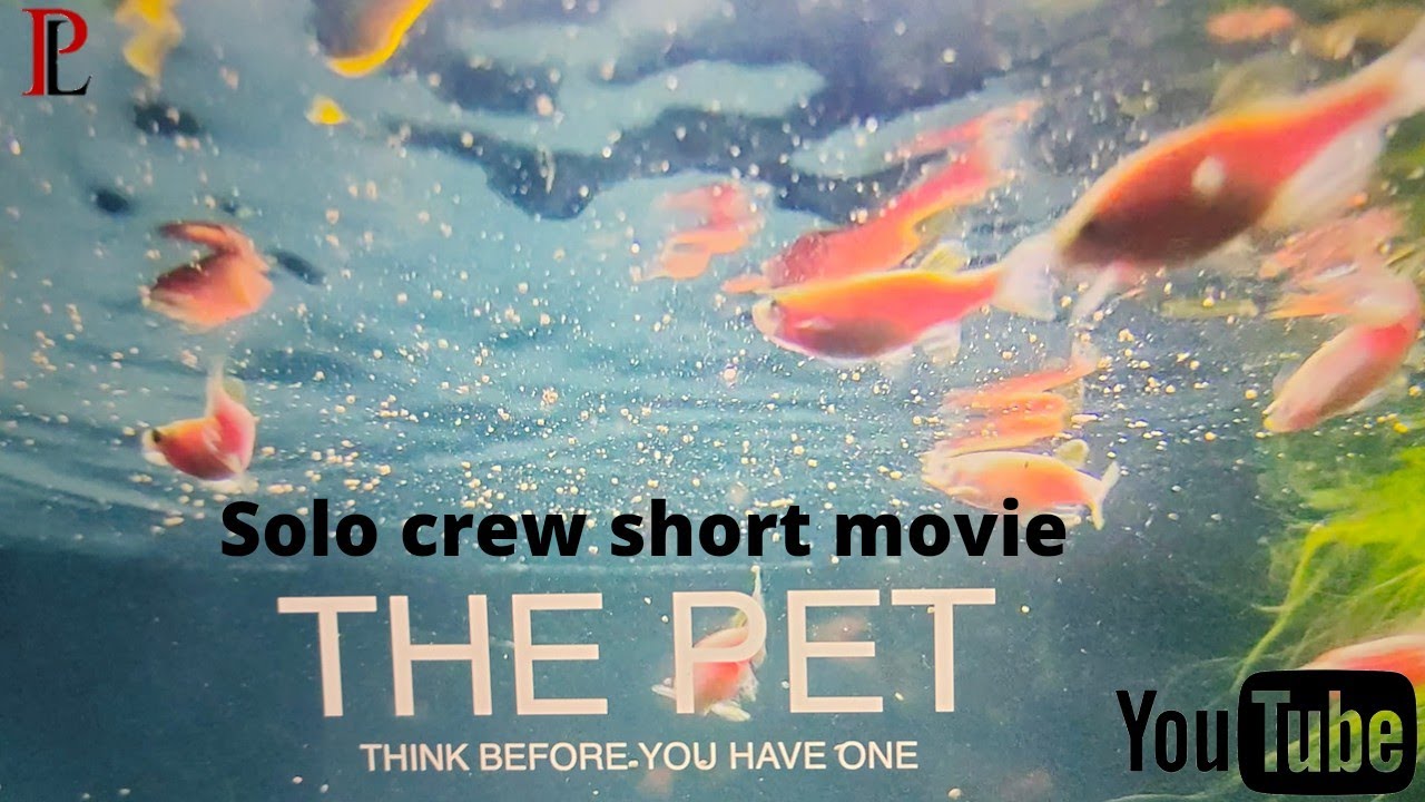 THE PET | ONE MAN CREW SHORT MOVIE | 18+ | SHORT FILIM #ONEMANCREW  #SHORTMOVIE #MALAYALAM.