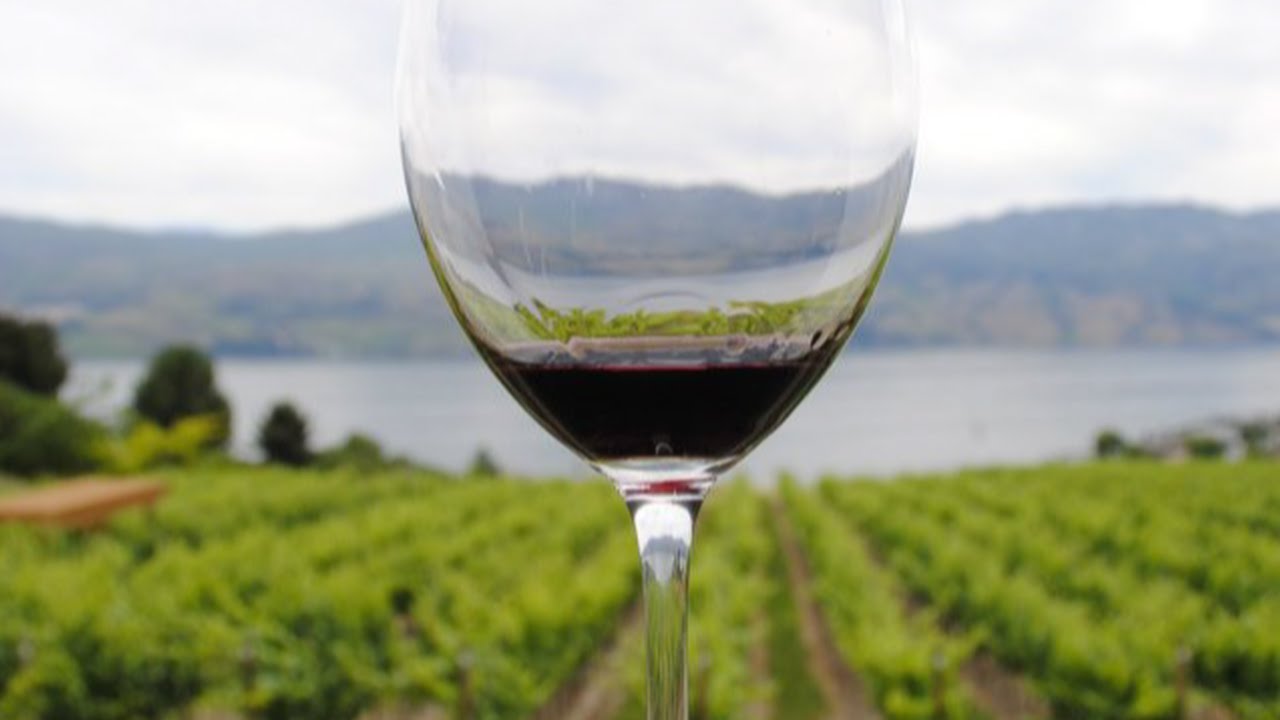 Top 10 Wine Producing Countries