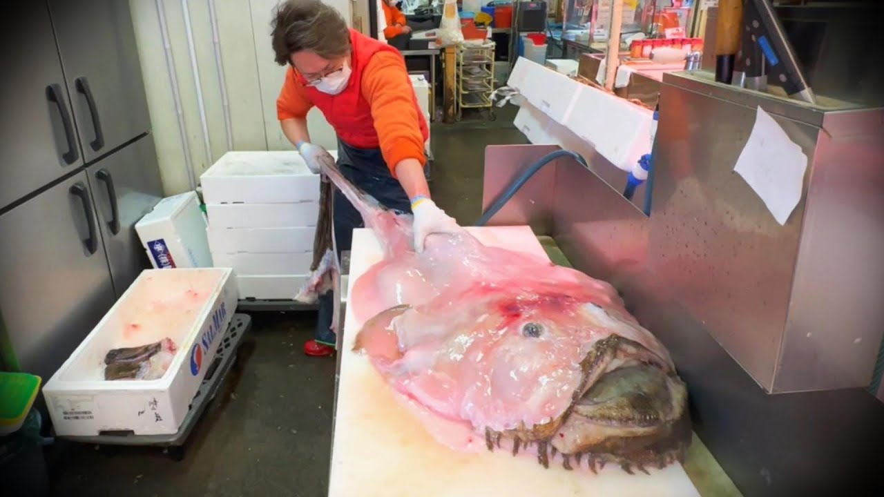 地元で捕れた超巨大魚が料理になるまで