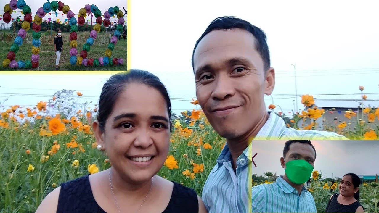 SUNFLOWER GARDEN