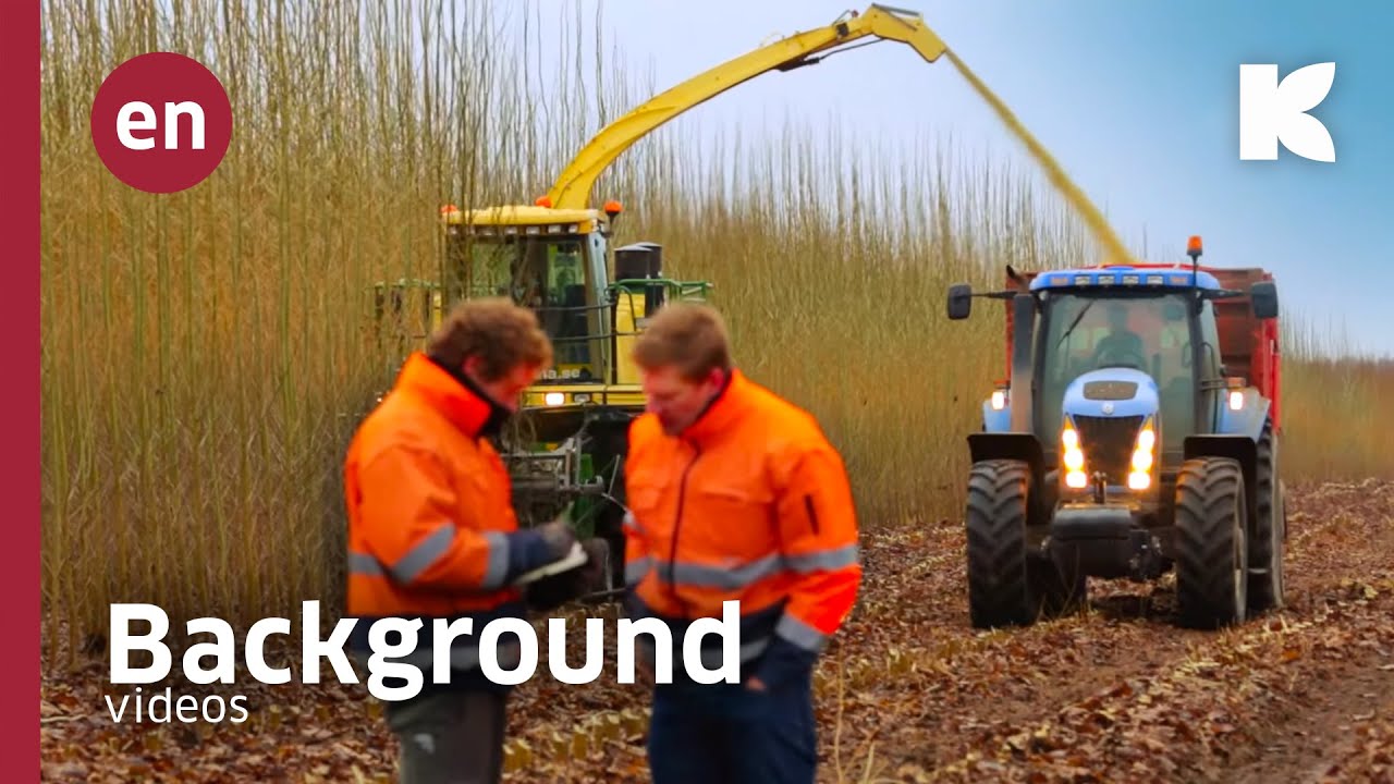 Short-rotation forestry and woodland in 90 seconds