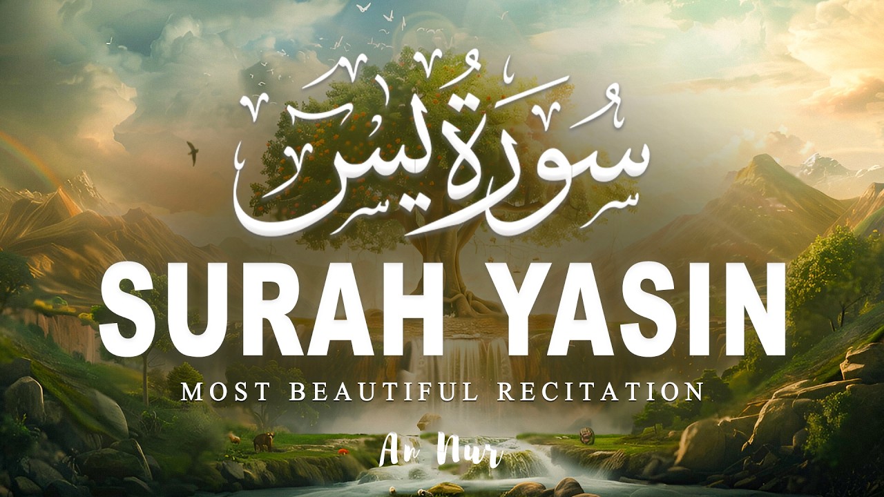 Surah Yaseen سورة يس | Relaxing & Beautiful Recitation for Inner Peace by Alaa Aqel | #lofiquran