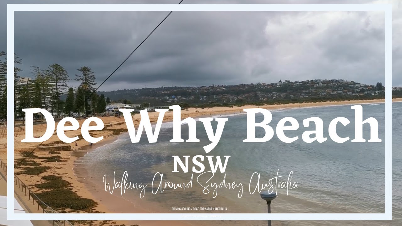 Australia City l Sydney Walk - Dee Why Beach NSW l Walking Around Sydney Australia