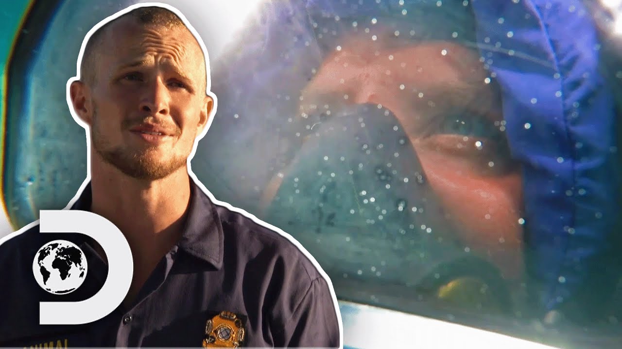 2 Divers Go Head-To-Head For 6 Figure Salary | Deadliest Job Interview
