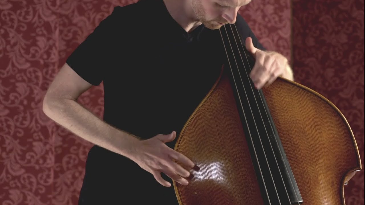 Luciano Berio - Sequenza XIV versione per contrabbasso di Stefano Scodanibbio