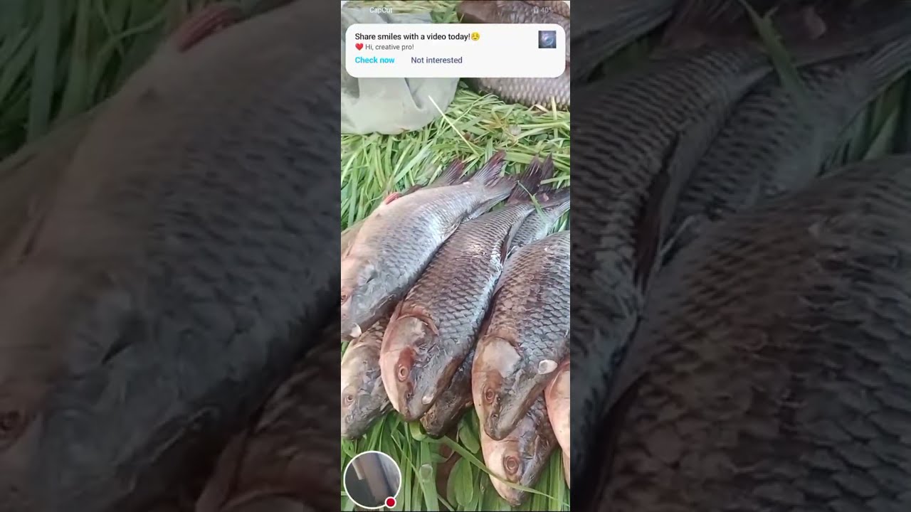 Fishing
