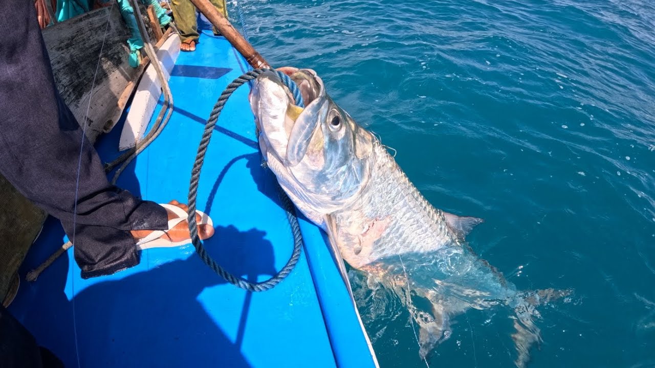 SÓ PEIXE GRAUDO EM ALTO MAR, CHAMA! 