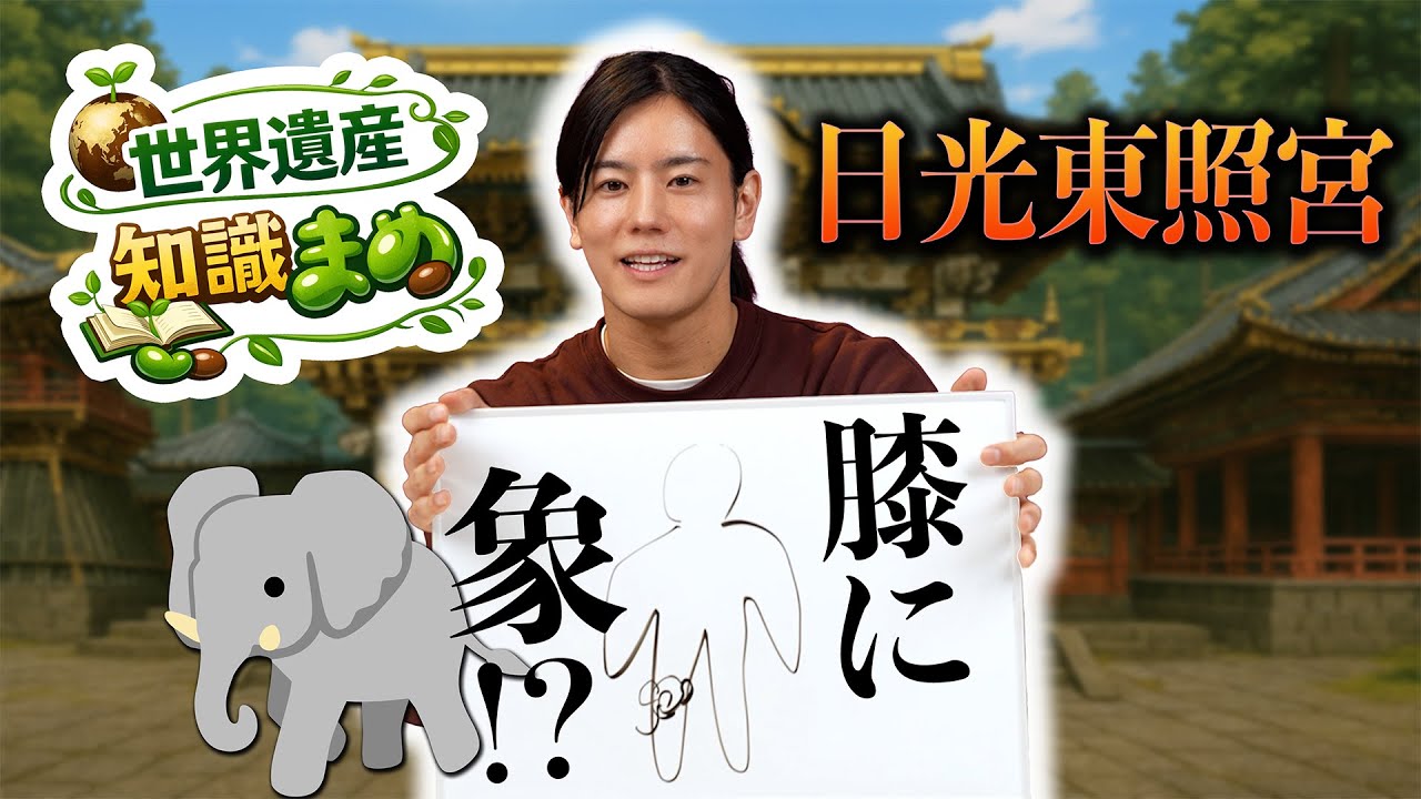 【🔥炎チャレクイズ番外編🔥】膝に象!?🐘 世界遺産 知識まめ「日光東照宮」