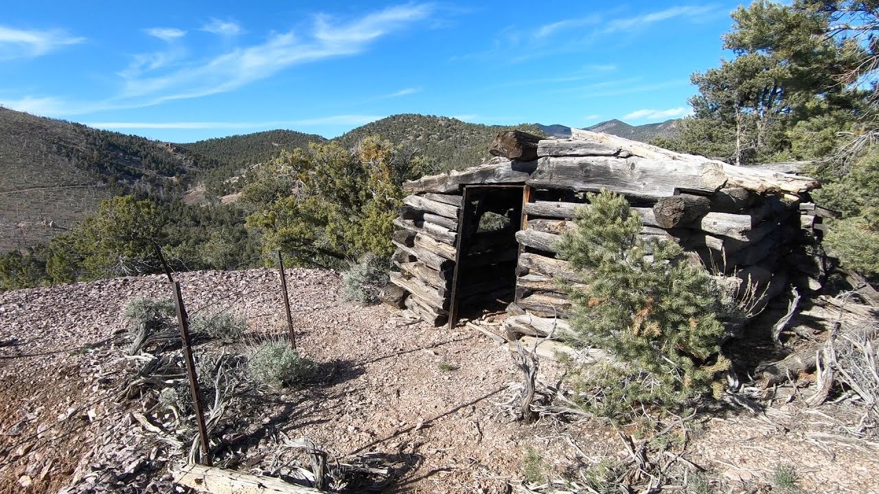 Abandoned Mine, Miner's Cabin, Wild Horses, and Bear!