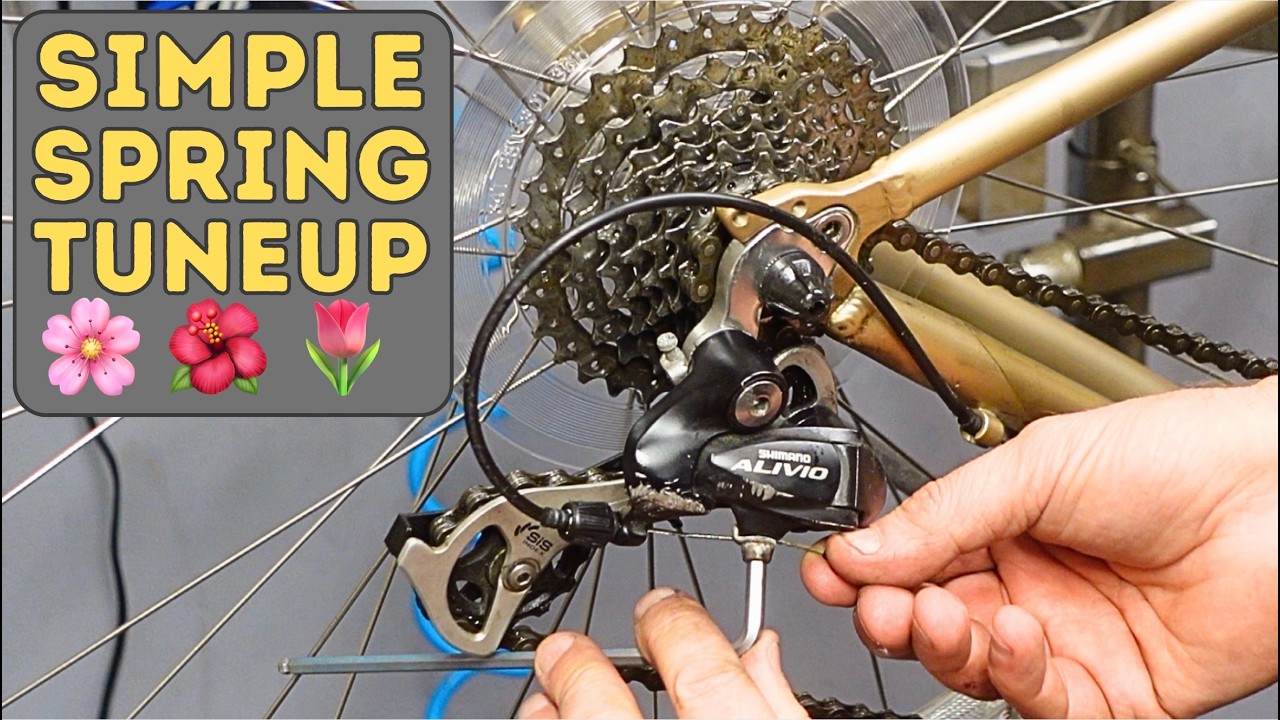 Easy DIY Spring Bicycle Tuneup! Save $100+ and Do It Yourself!