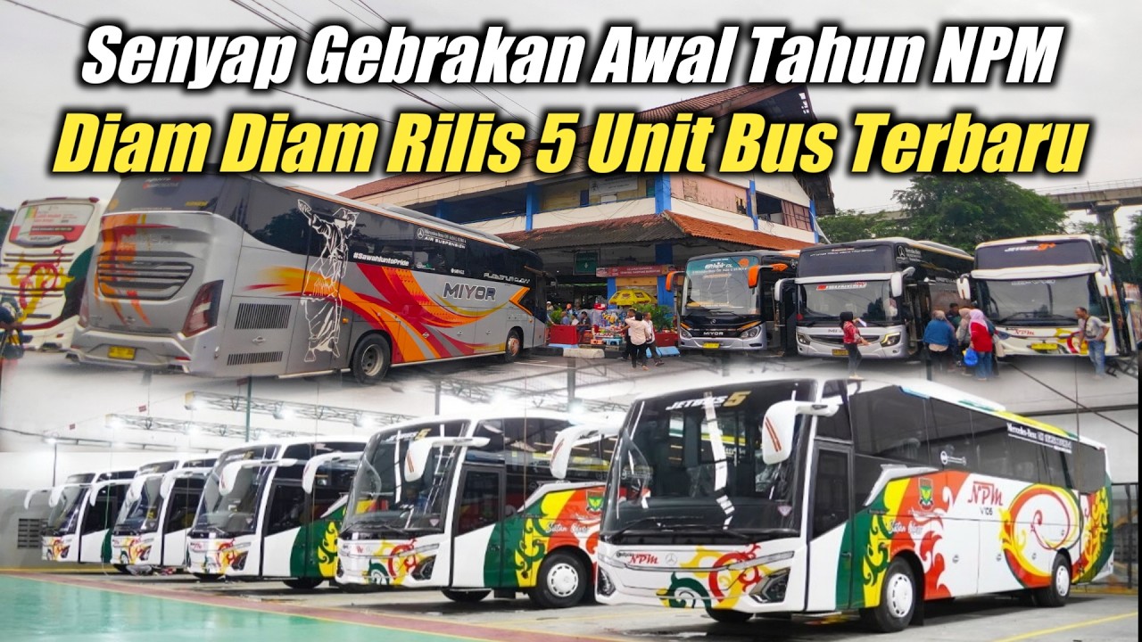 MAKIN MENYALA SUHU ‼️KEJUTAN AWAL TAHUN NPM RILIS 5 UNIT BUS TERBARU, PERSIAPAN ARUS MUDIK