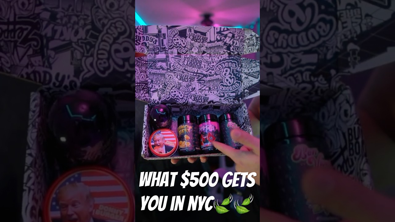 WHAT DOES $500 GET YOU AT NYC DISPO? 🍃💨