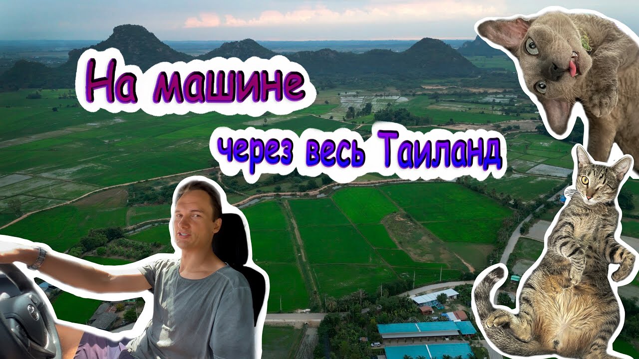 4K: На машине через весь Таиланд с котами (Пхукет- Чиангмай).