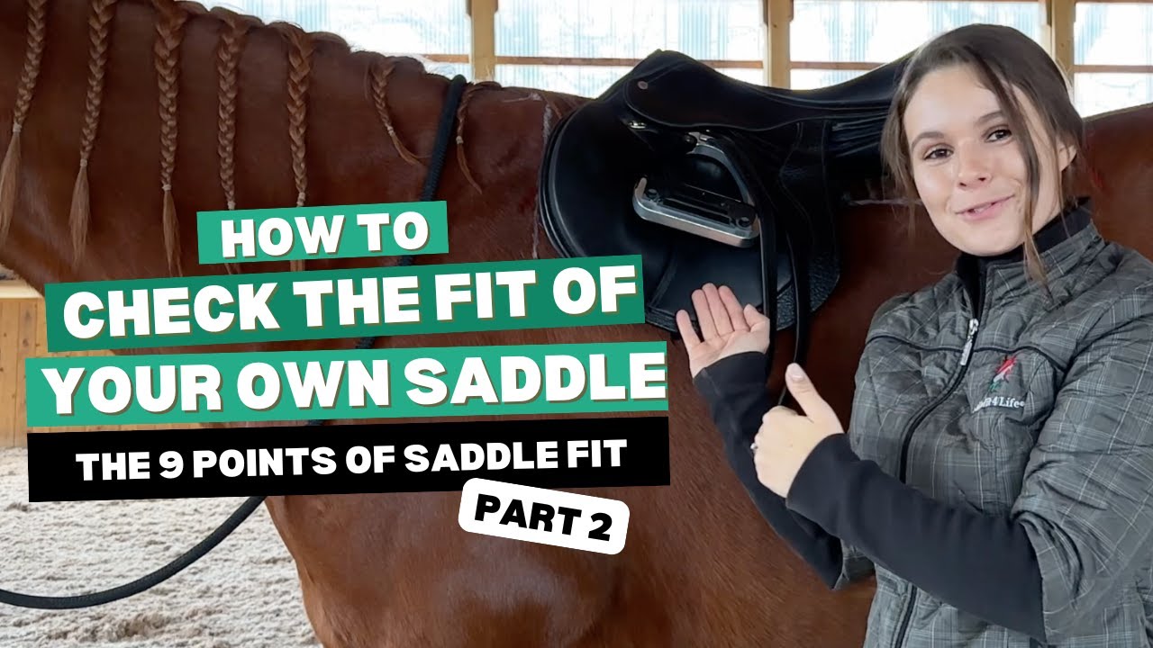 How to Check the Fit of Your Saddle: Part 2