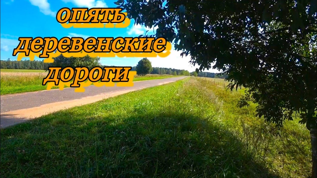 НЕ ОЖИДАЛ ТАКИХ НАХОДОК ВДОЛЬ ДЕРЕВЕНСКОЙ ДОРОГИ. КОП МЕТАЛЛА АВГУСТ 2024