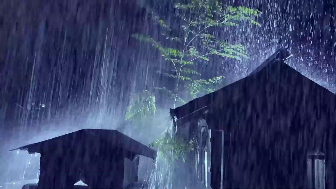 Night Rain Beating on Tin Roof with Thunder for Sleep